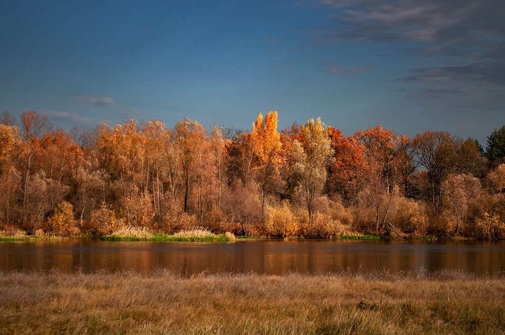 Рыжая осень