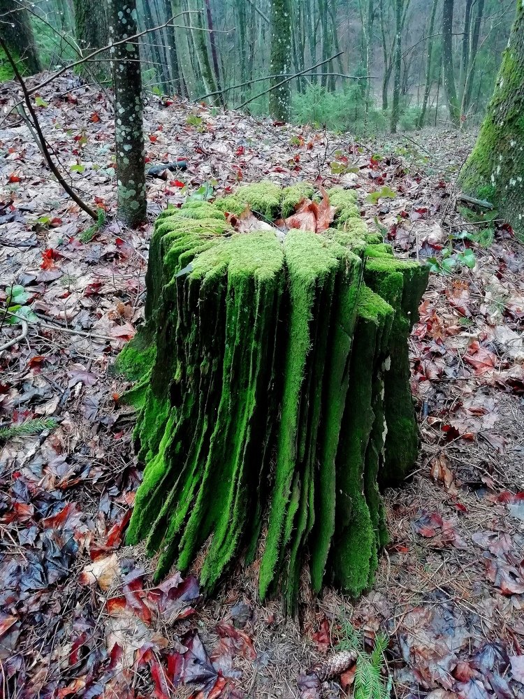 Photograph by Илья Витязев