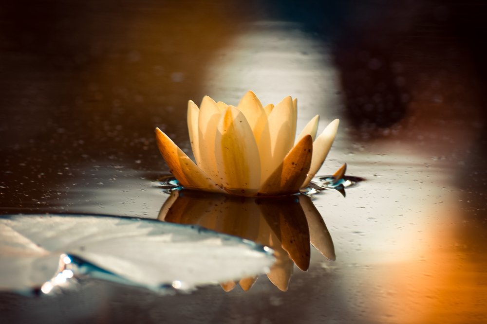 Photograph by Елена Абрамова