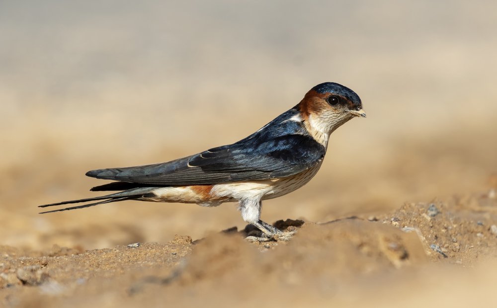 Photograph by Pratik Bhatt