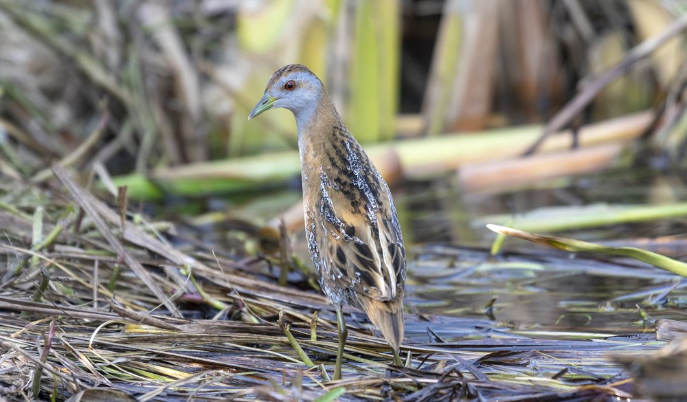 Photograph by Pratik Bhatt