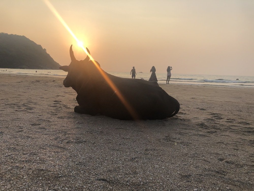 Photograph by Максим Никитин