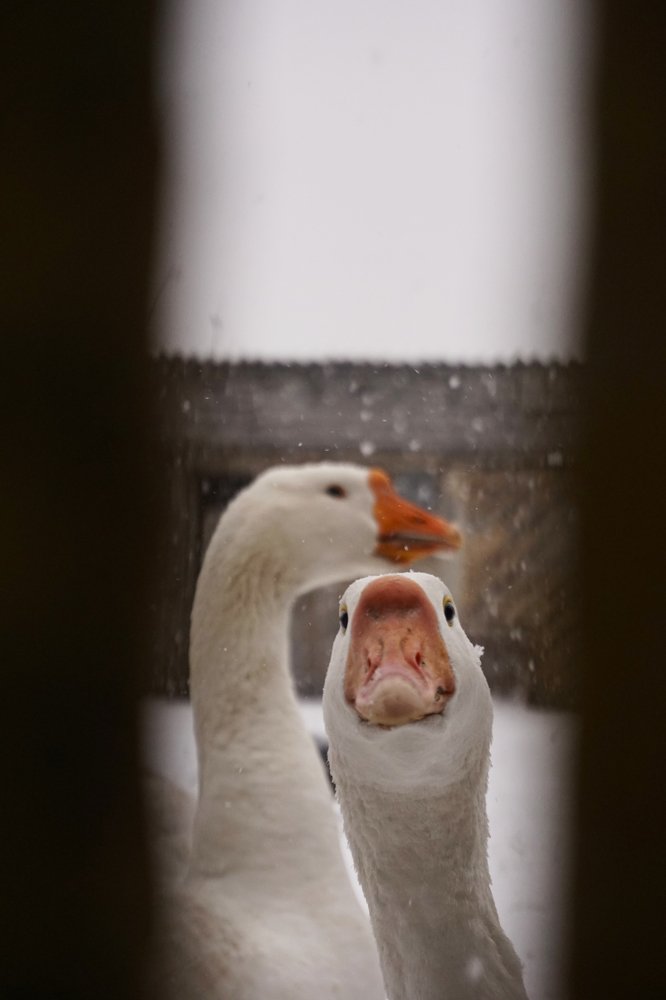 Photograph by Аня Ткачева