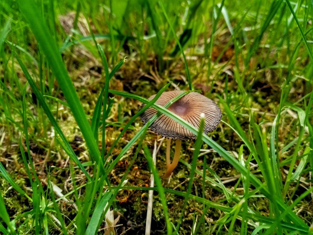 Photograph by Катерина Попелковская