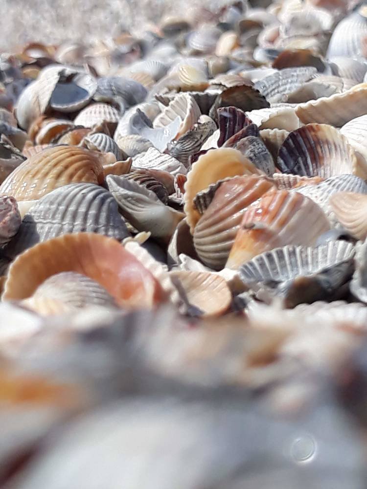 Photograph by Инга Халиуллина