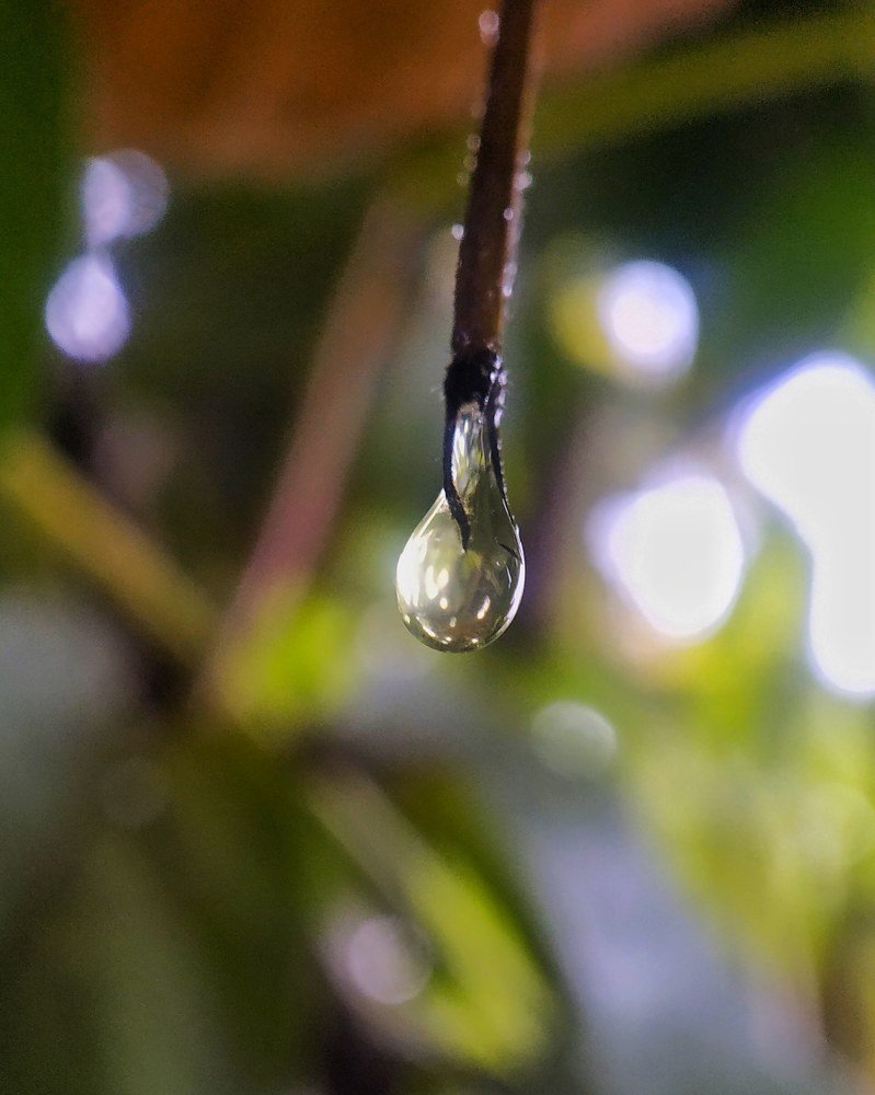 Water droplet