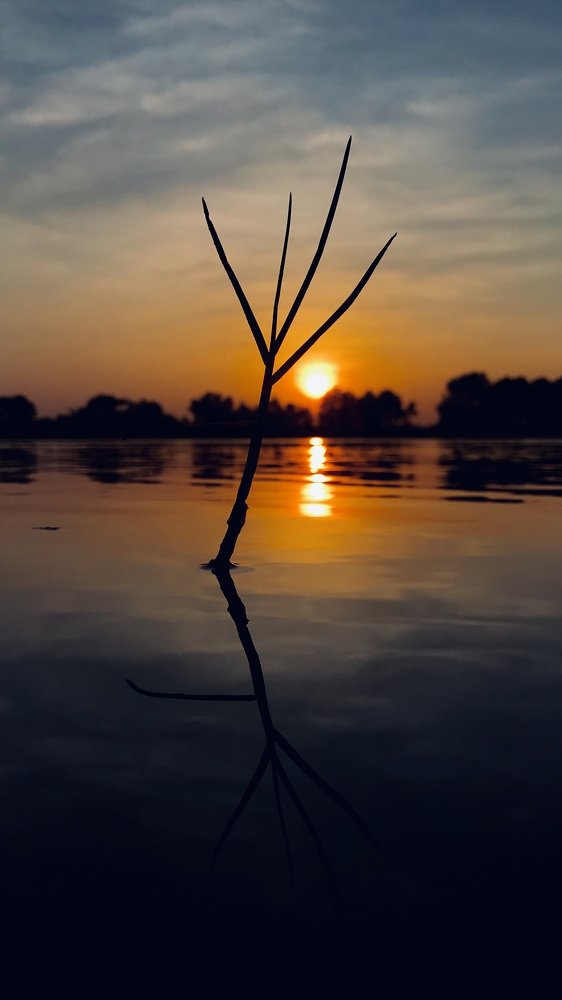 Photograph by Athil Mohamed Athil