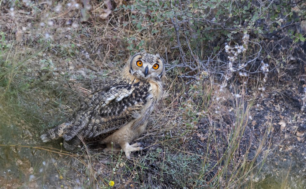 Photograph by Pratik Bhatt