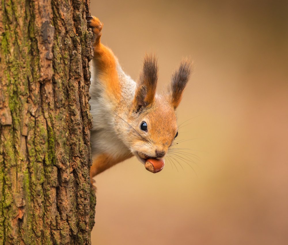 Photograph by Власов Егор