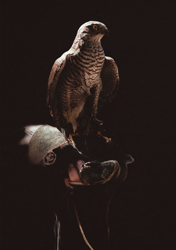 Photograph by Vaxo Janjgava