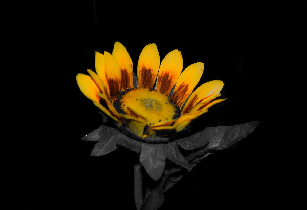 Photograph by Георгий Шапошников