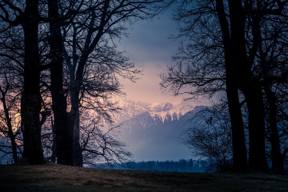 Фотография автора Cornelia Ghergut