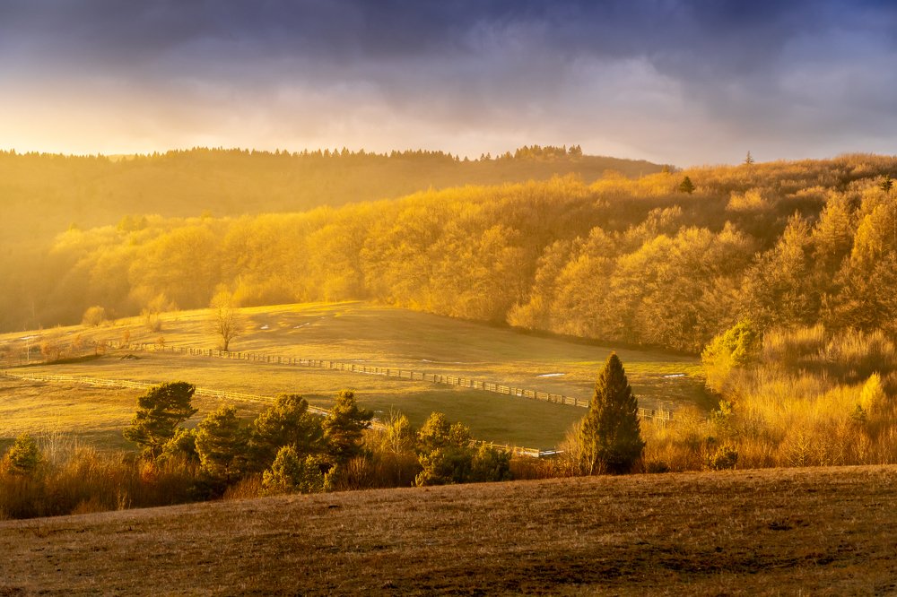 Фотография автора Cornelia Ghergut