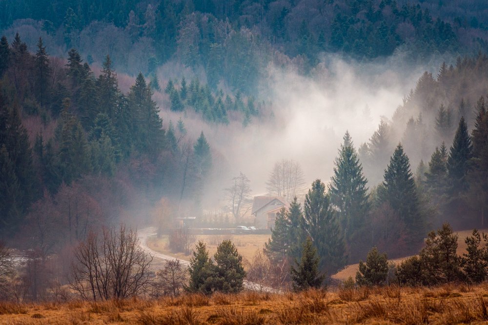 Фотография автора Cornelia Ghergut