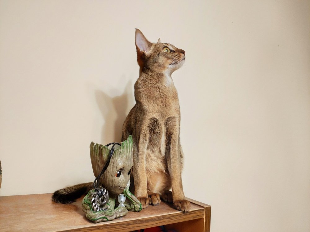 Photograph by Андрей Постников