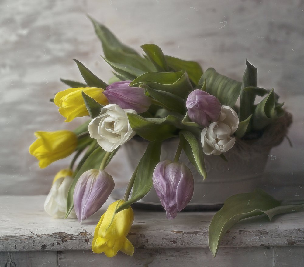 Photograph by Svoboda Andreeva