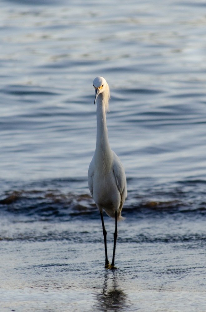 Photograph by David Vivallo