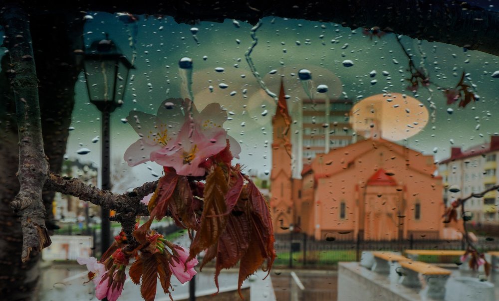 Фотография автора Olena Vorotyntseva