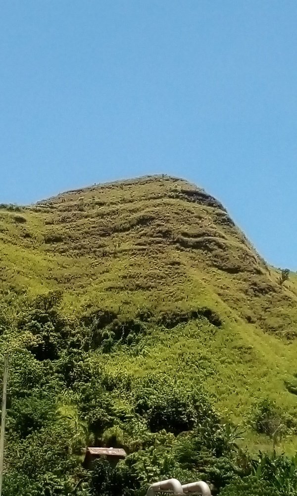 Photograph by Harry Maesua