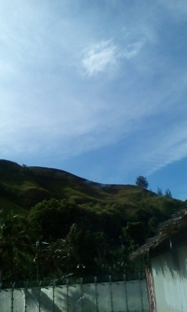 Photograph by Harry Maesua