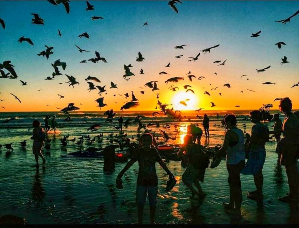 Freedom