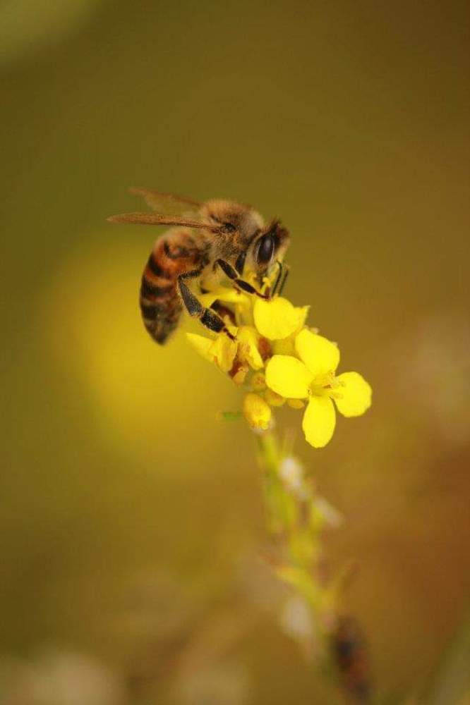 Photograph by Bachar Kallas