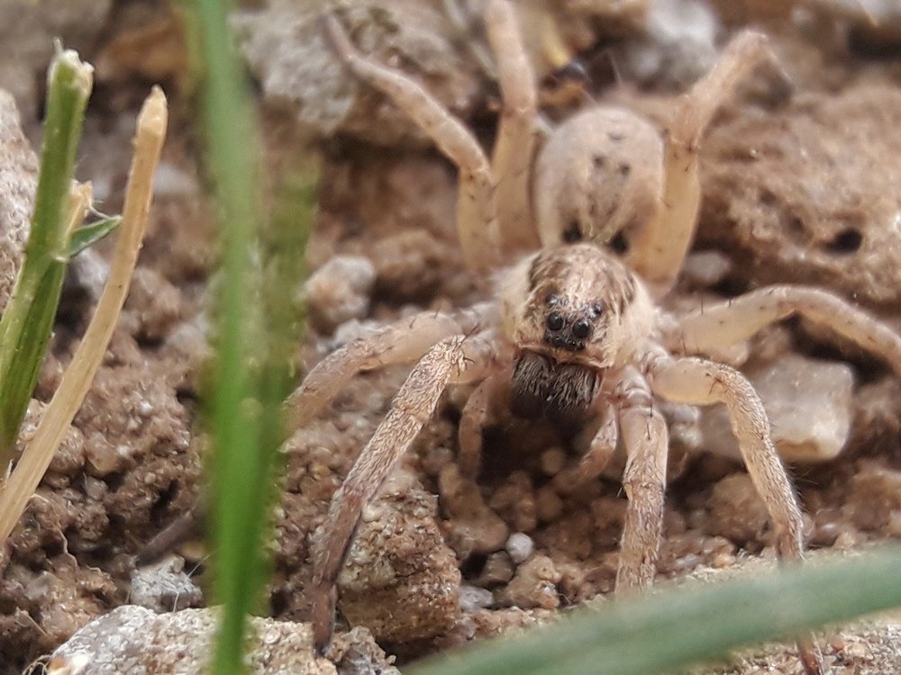 Photograph by Dhaval Solanki