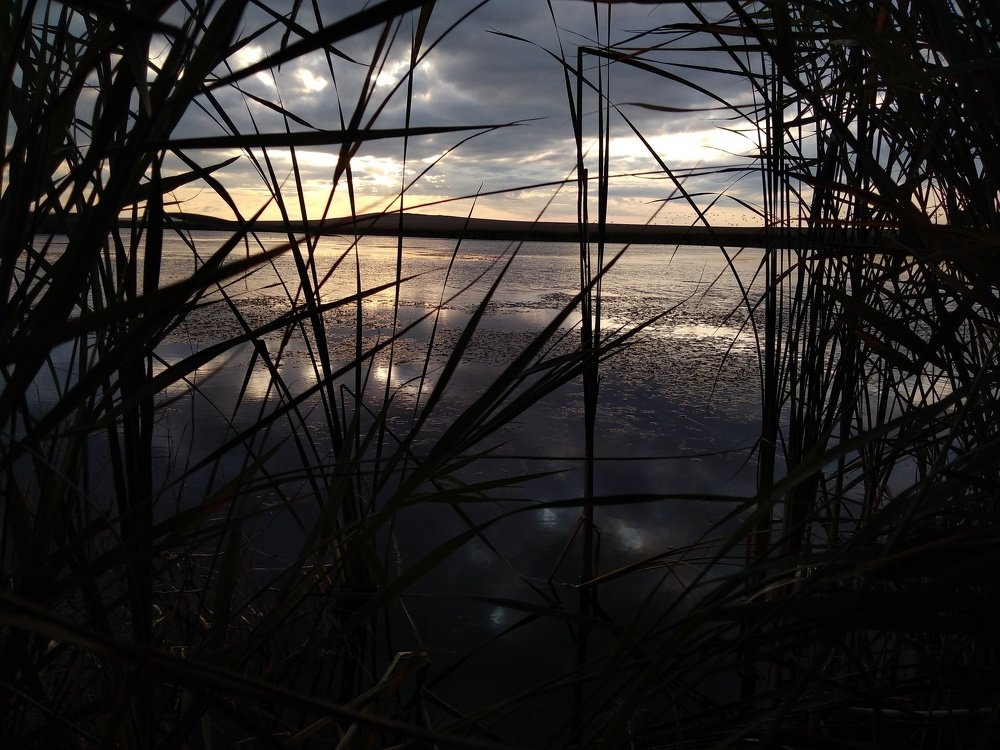 Photo #4458111