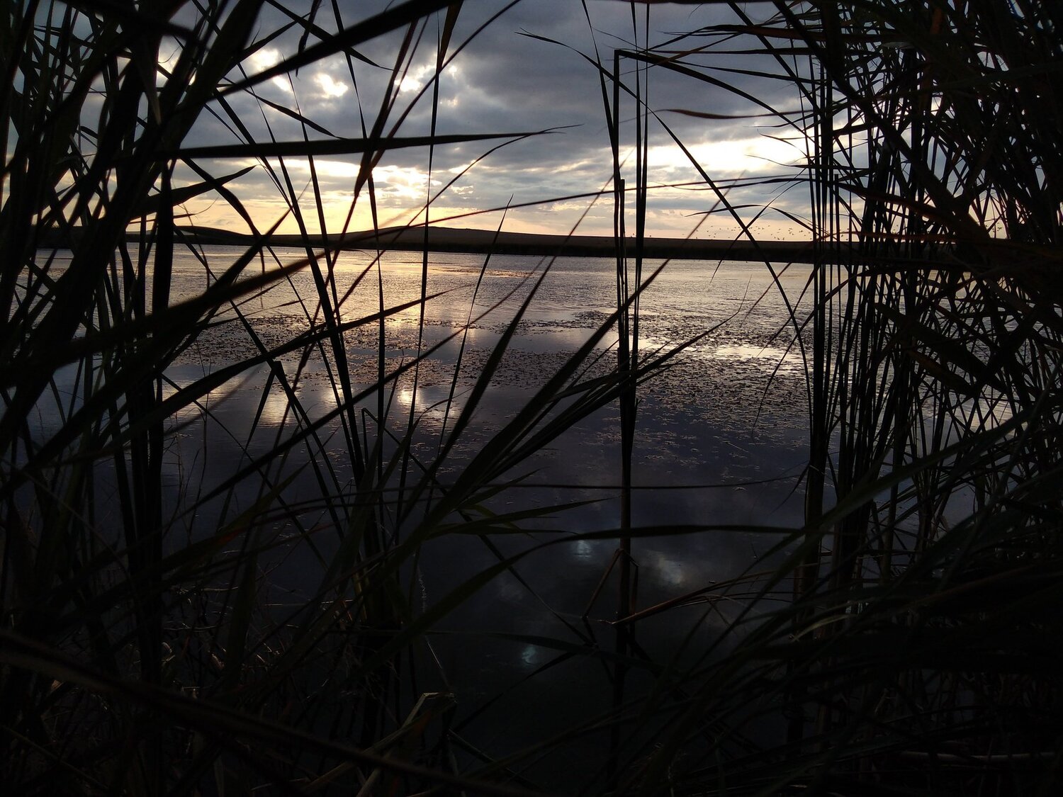 Photo #4458111
