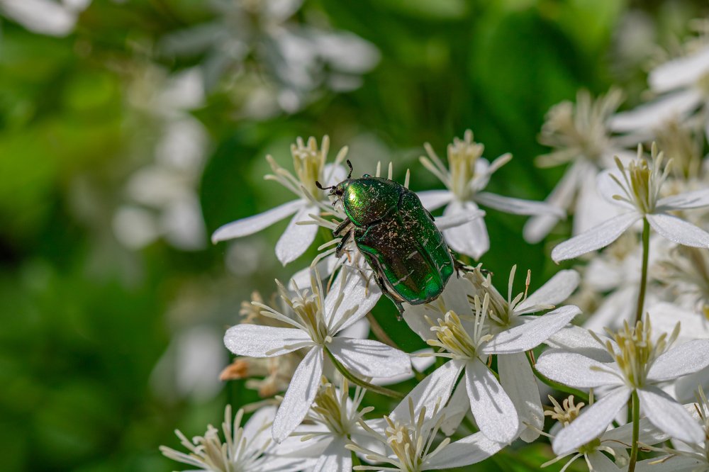 Photograph by Бурбона Сергей