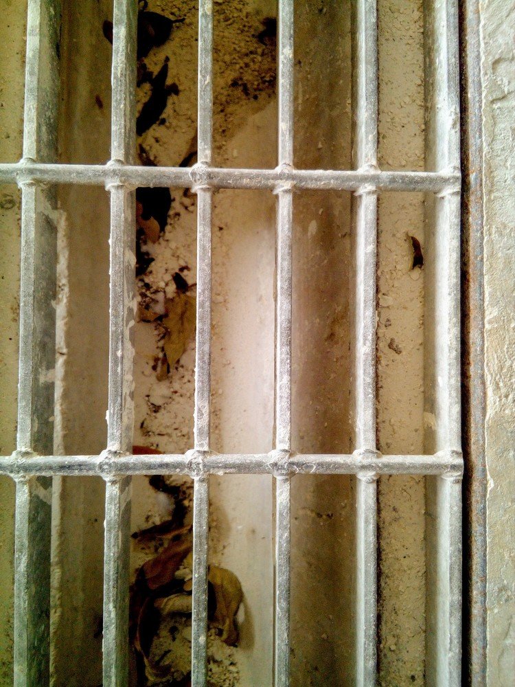 Фотография автора Orlando Silvio Silvera Hernández