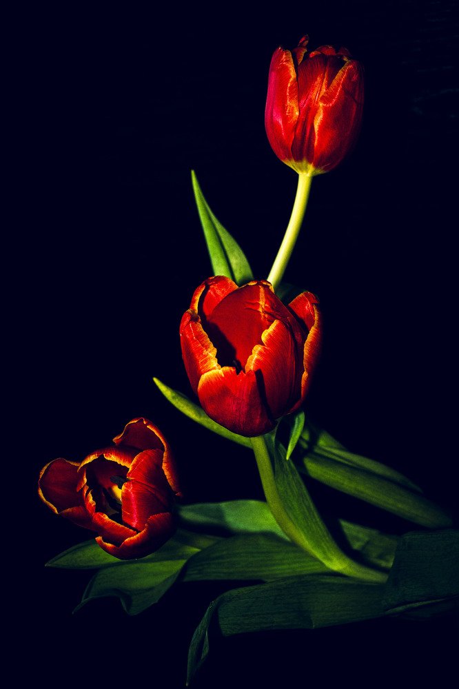 С 8 Марта девочки!