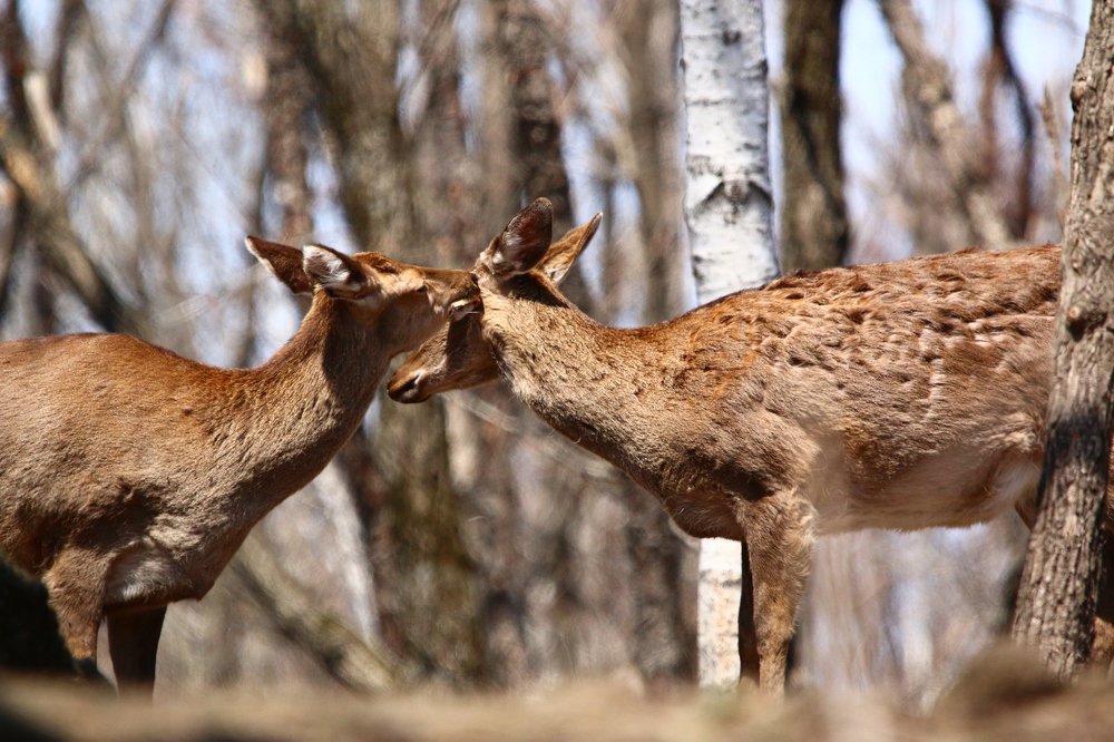 Photograph by Марго Ерёмина