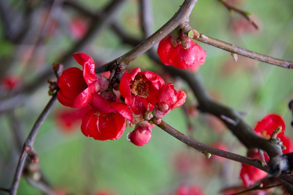 Photograph by Елена Демочкина