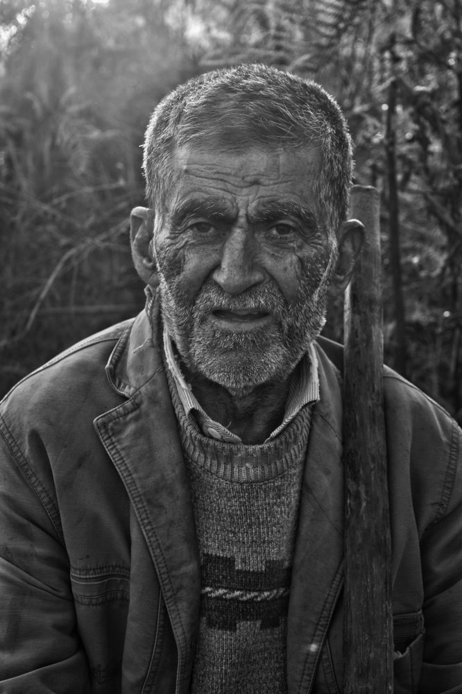 Experience of JUNGLE