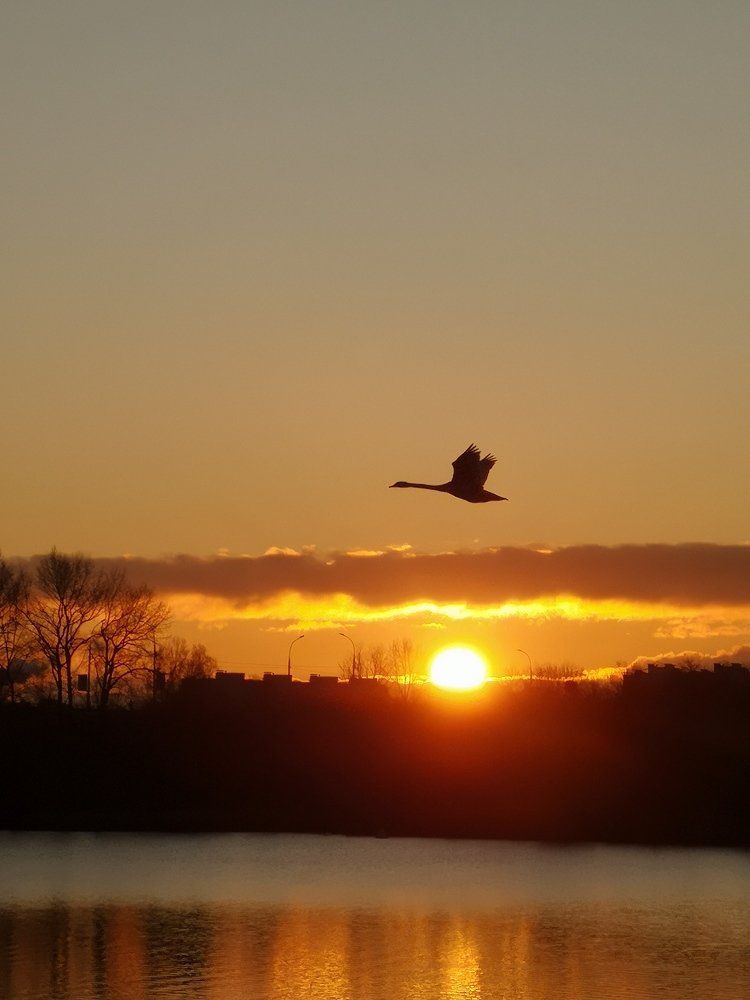 Photograph by Андрей Тур