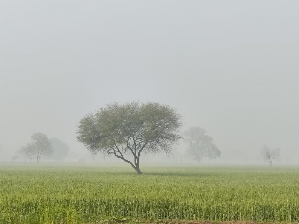 Photograph by vivek Kumar