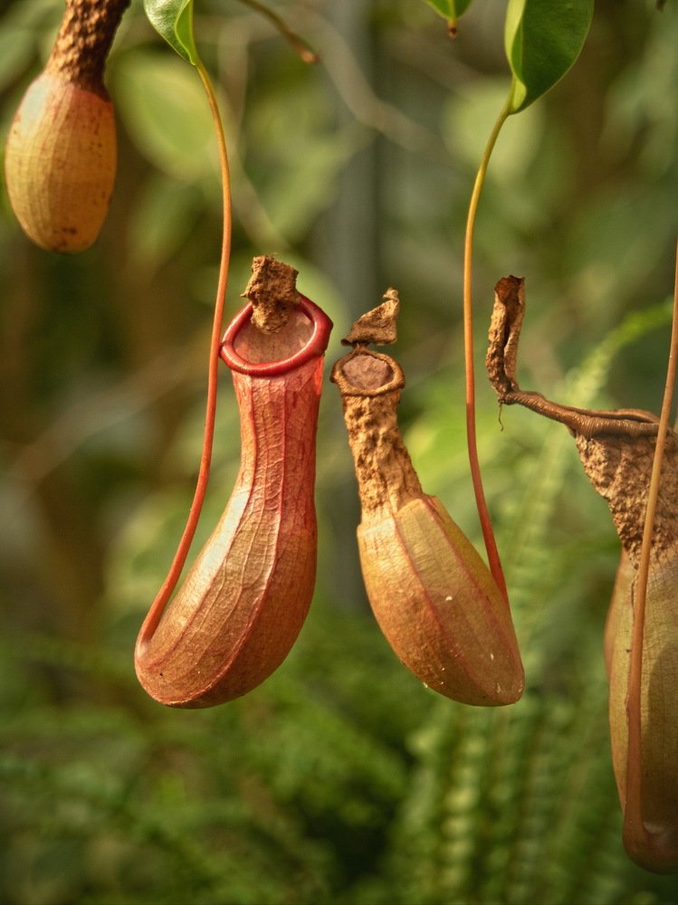 Photograph by Ioana Morosan