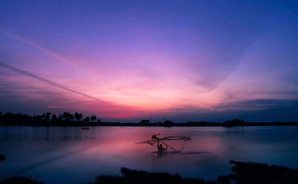 Photograph by Appuhanhadige de silva