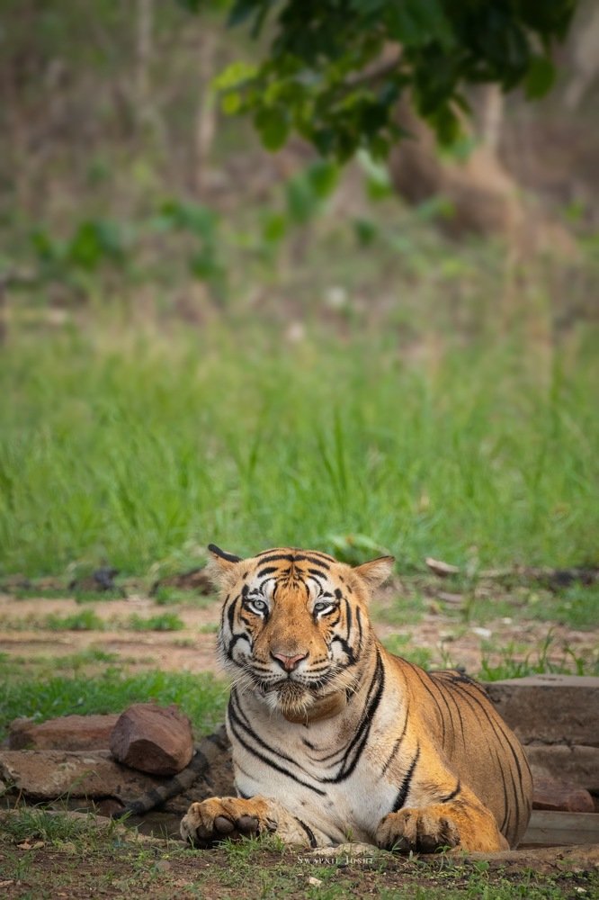 Photograph by Swapnil Joshi