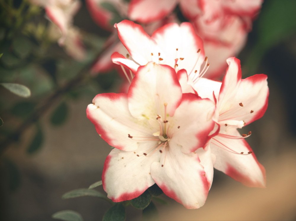 Photograph by Ioana Morosan