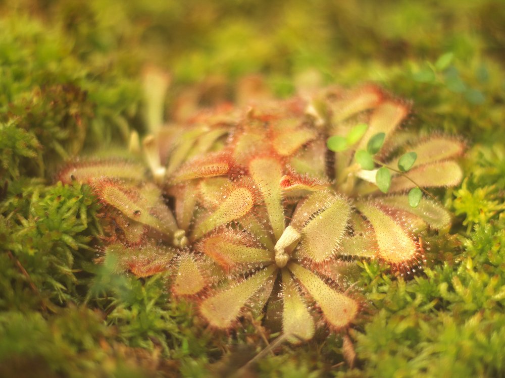 Photograph by Ioana Morosan