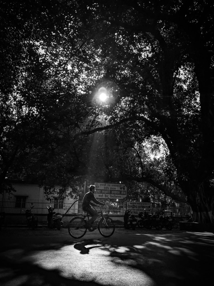 Photo #4458584