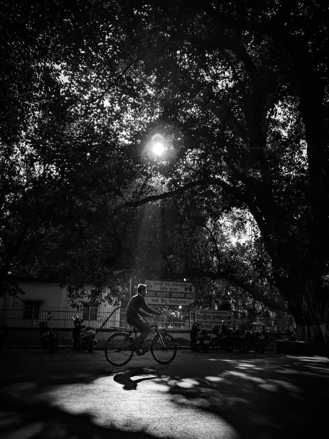 Photo #4458584