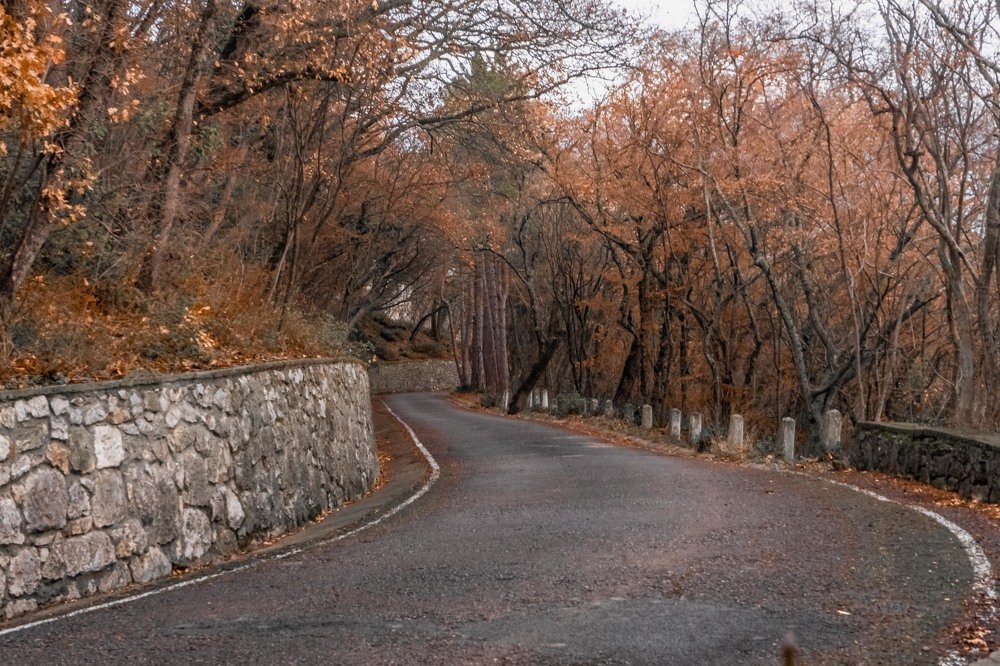 Photograph by mikhail goryachev