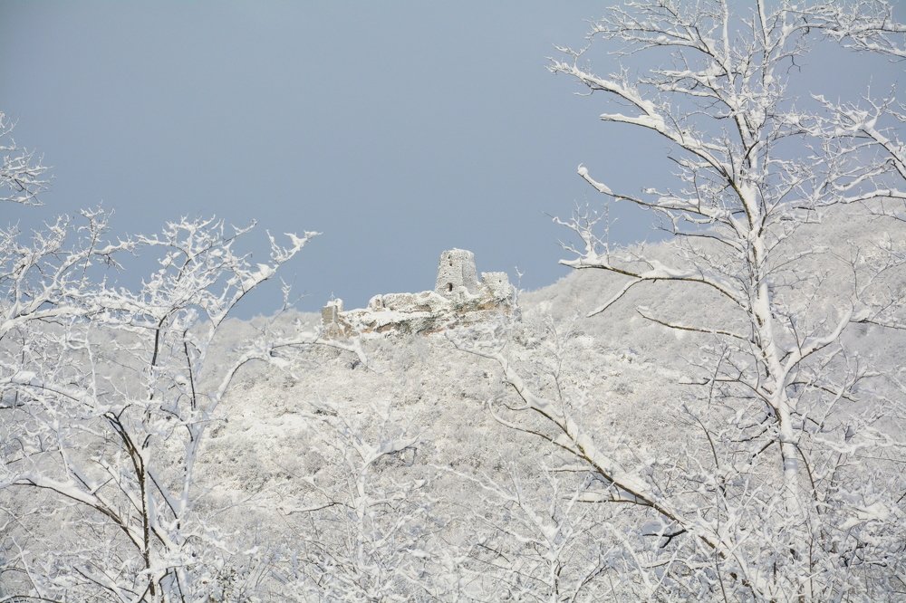 Photograph by Shota Gogoli