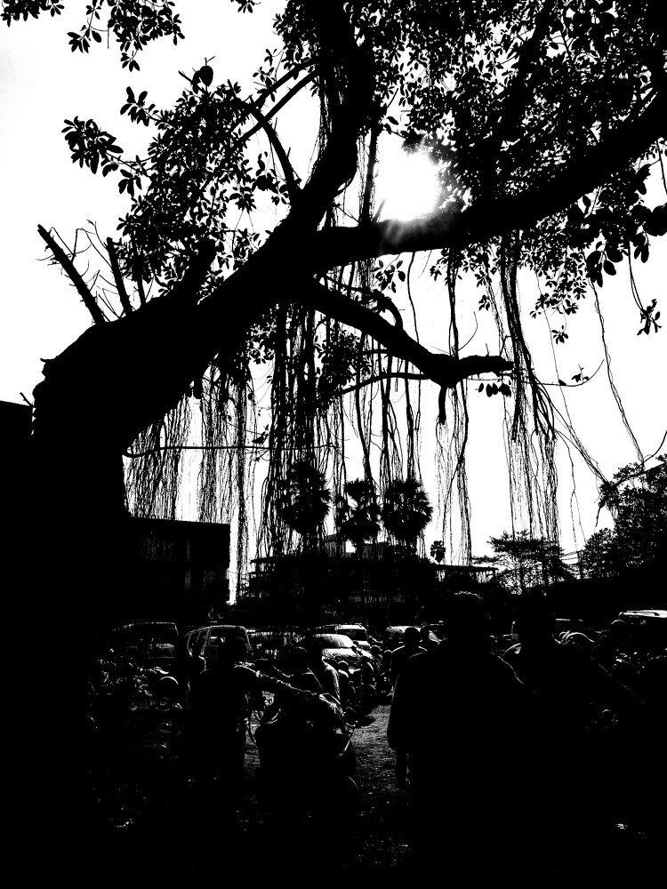 Photograph by Abhishek Chandan