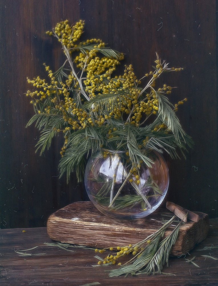 Photograph by Svoboda Andreeva