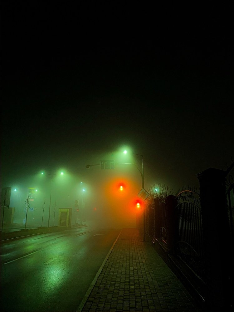 Photograph by Арина Колесник