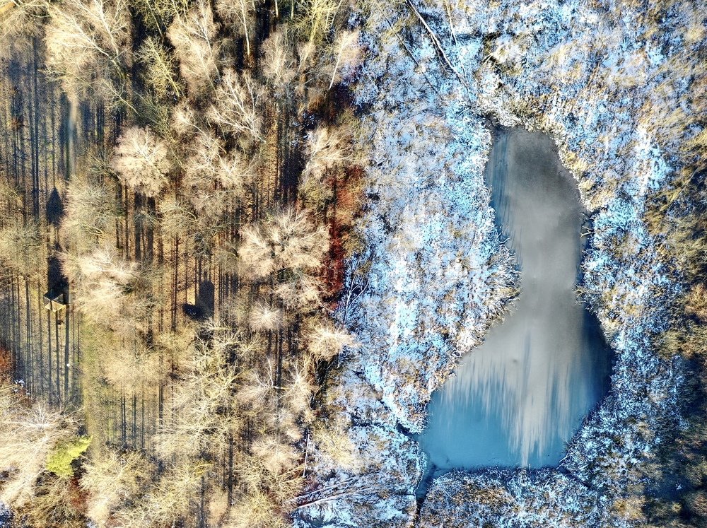 Photograph by Анатолий Андреев